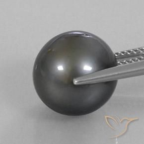 Perla Gris oscuro natural de 11.36 ct, Elegante, Opaco