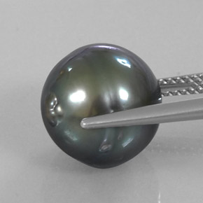 Perla Plateado oscuro natural de 11.70 ct, Forma elegante, Opaco