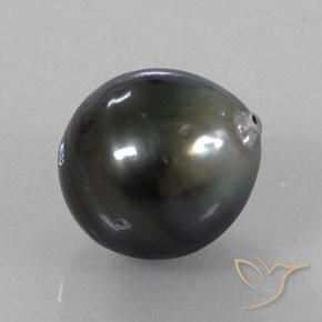 Perla Plateado oscuro natural de 11.77 ct, Elegante, Opaco
