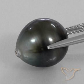 Perla Plateado oscuro natural de 11.77 ct, Elegante, Opaco