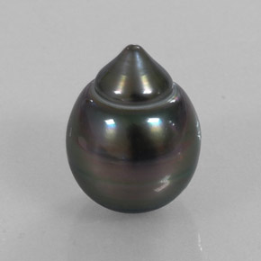 Perla gris natural de 13,07 ct, forma elegante, opaco