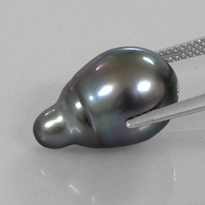 Perla gris natural de 13,21 ct, forma elegante, opaco