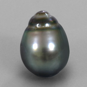 Perla gris natural de 10,38 ct, forma elegante, opaco