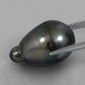 Perla gris natural de 13,94 ct, en forma de pera, opaco