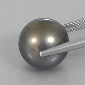 Perla gris natural de 12,75 ct, esfera / bola, opaco