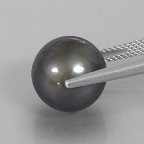 Perla gris natural de 12,75 ct, esfera / bola, opaco