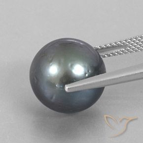 Perla gris natural de 12,49 ct, esfera / bola, opaco