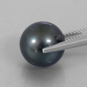 Perla gris natural de 12,65 ct, esfera / bola, opaco