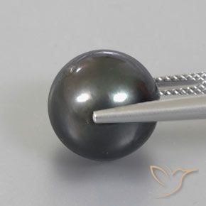 Perla Gris oscuro natural de 13.49 ct, Esfera / Bola, Opaco