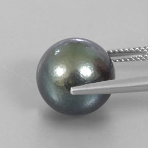 Perla gris natural de 13,23 ct, esfera / bola, opaco