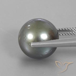 Perla Gris oscuro medio natural de 12.95 ct, Esfera / Bola, Opaco