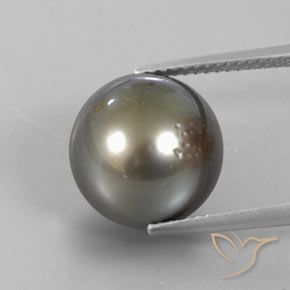 Perla Gris oscuro medio natural de 13.25 ct, Esfera / Bola, Opaco