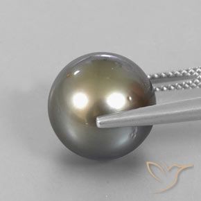 Perla Gris oscuro medio natural de 13.25 ct, Esfera / Bola, Opaco