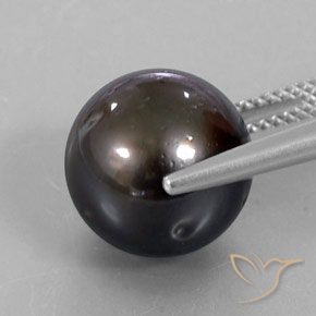 Perla Marrón natural de 13.30 ct, Esfera / Bola, Opaco
