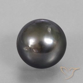 Perla Marrón natural de 12.76 ct, Esfera / Bola, Opaco