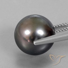 Perla Marrón natural de 12.76 ct, Esfera / Bola, Opaco