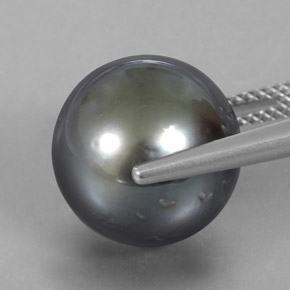 Perla gris natural de 16,38 ct, esfera / bola, opaco