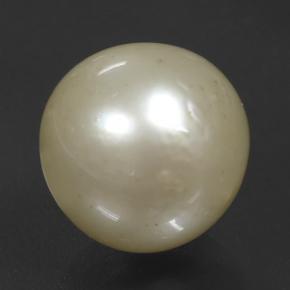Perla Dorado claro natural de 11.08 ct, Esfera / Bola, Opaco