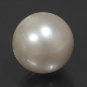 Perla crema natural de 14,32 ct, esfera / bola, opaco