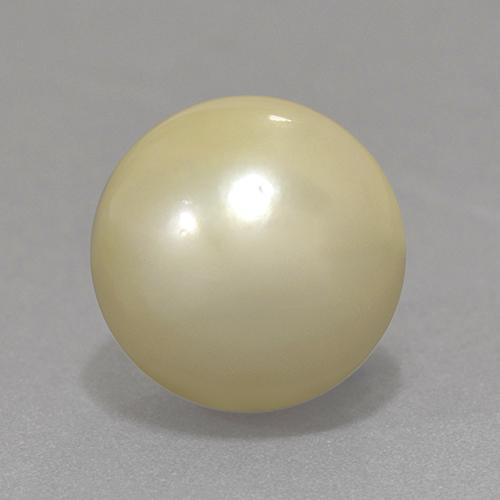 Perla Amarillo claro natural de 13.06 ct, Esfera / Bola, Opaco