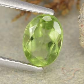 Peridoto Verde medio natural de 1.24 ct, Ovalada, VS