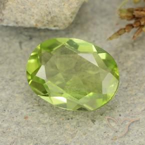 Peridoto verde natural de 1,20 ct, corte óvalo, VS