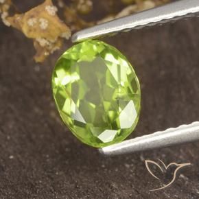 Peridoto Verde amarillento intenso natural de 1.18 ct, Ovalada, VS