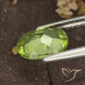 Peridoto Verde medio natural de 1.16 ct, Ovalada, VS