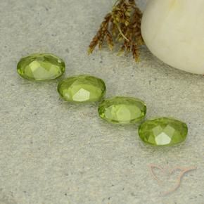 Gemas de Peridoto Verde vivo natural de 4.90 ct, Ovalada, VS