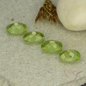 Gemas de Peridoto Verde medio natural de 5.23 ct, Ovalada, VS