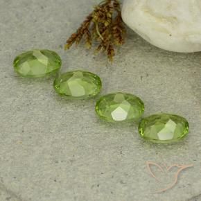 Gemas de Peridoto Verde vivo claro natural de 5.57 ct, Ovalada, VS