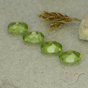 Gemas de Peridoto Verde vivo natural de 5.51 ct, Ovalada, VS