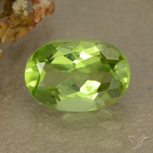 1.20ct Natural Verde vivo Peridoto, Ovalada, VS