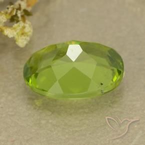 Peridoto Verde medio natural de 1.37 ct, Ovalada, VS