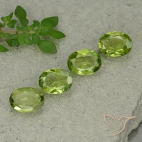 Gemas de Peridoto Verde vivo natural de 4.56 ct, Ovalada, VS