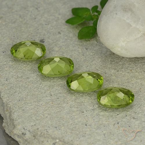 Gemas de Peridoto Verde vivo natural de 4.90 ct, Ovalada, VS