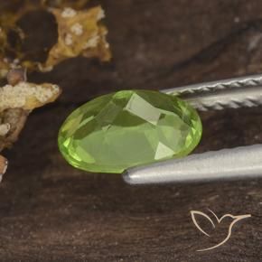 Peridoto Verde medio natural de 1.31 ct, Ovalada, VS