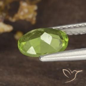 Peridoto Verde medio natural de 1.19 ct, Ovalada, VS