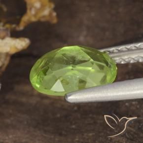 Peridoto Verde claro natural de 1.35 ct, Ovalada, VS