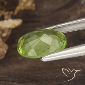 Peridoto Verde amarillento intenso natural de 1.20 ct, Ovalada, VS