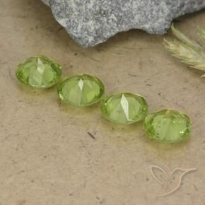 Gemas de Peridoto Verde vivo claro natural de 2.91 ct, Redondo, VS