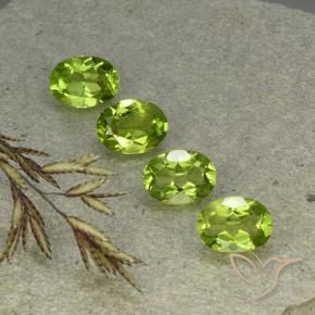 Gemas de Peridoto Verde medio natural de 5.57 ct, Ovalada, VS