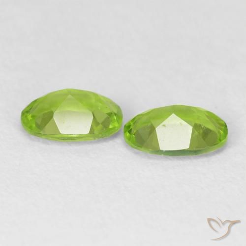Gemas de Peridoto Verde vivo natural de 1.61 ct, Ovalada, VVS
