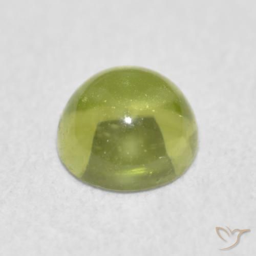 Peridoto Verde Oliva natural de 0.38 ct, Redondo, Transparente