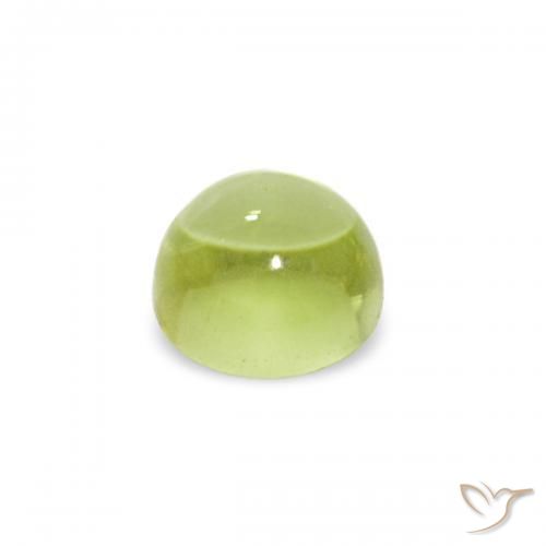 Peridoto Verde Oliva natural de 0.38 ct, Redondo, Transparente
