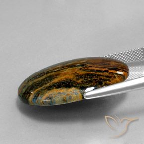 Pietersita Multicolor natural de 23.92 ct, Ovalada, Opaco