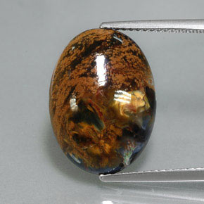 Pietersita Multicolor natural de 6.78 ct, Corte Óvalo, Opaco
