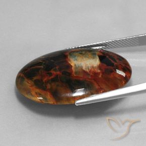 Pietersita Multicolor natural de 20.58 ct, Ovalada, Opaco