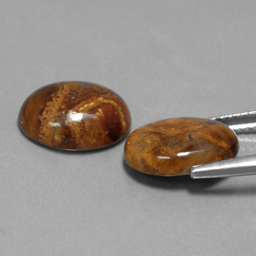 Gemas de pietersita multicolor natural de  ct, corte óvalo, opaco