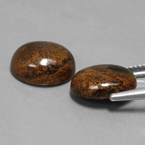 Gemas de Pietersita Multicolor natural de  ct, Corte Óvalo, Opaco